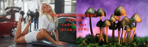 гидропоника Алексин