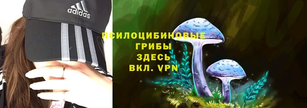 гидропоника Алексин