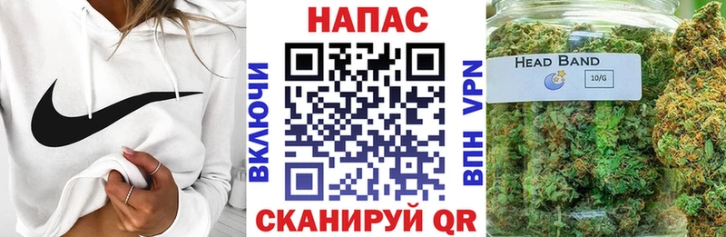 Конопля OG Kush  МЕГА зеркало  Новая Ладога 